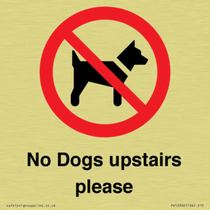 No Dogs upstairs please 